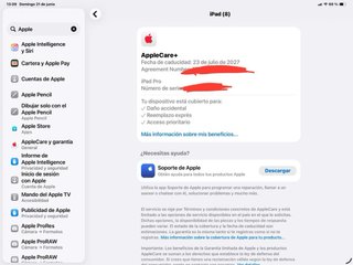 iPad Pro 13” M4 con AppleCare+