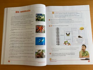 Libros de Catalán. 5º Primaria. Sin estrenar.