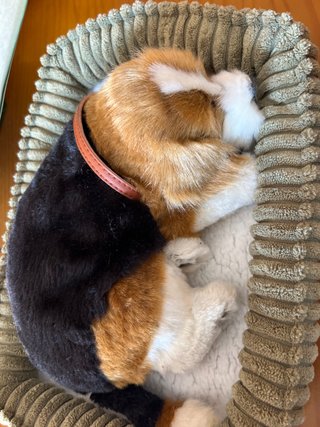 Perro realista en su cama