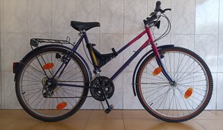 Bicicleta Clásica. Mountain Bike