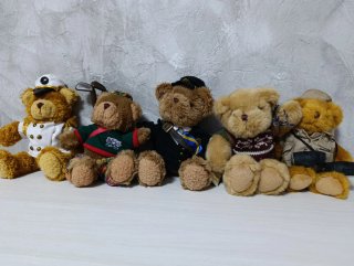 Colección 17 Osos de Peluche