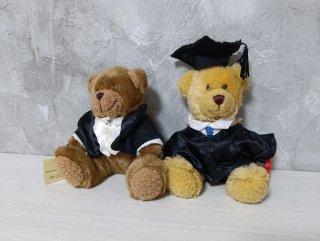 Colección 17 Osos de Peluche