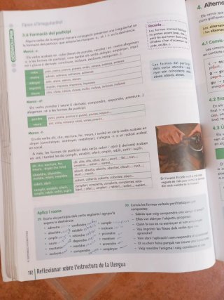 Llengua Catalana 4 ESO