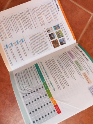 Llengua Catalana 4 ESO