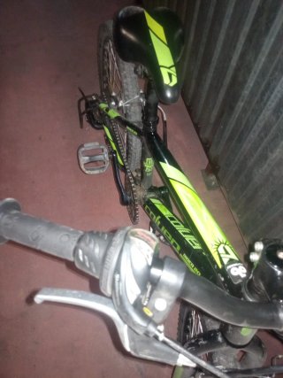 Bicicleta infantil 20 Caluer Rider 20