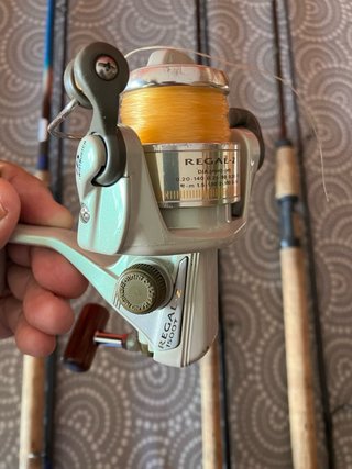 Cañas dos tramos lucio y carretes de pesca