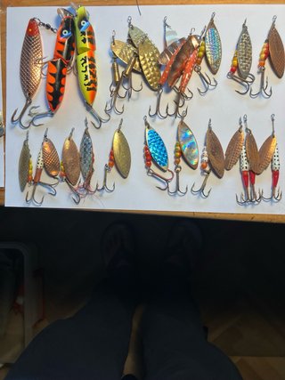 Cañas dos tramos lucio y carretes de pesca