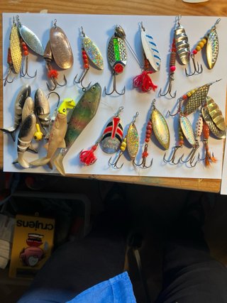 Cañas dos tramos lucio y carretes de pesca