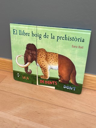 Libro infantil. El llibre boig