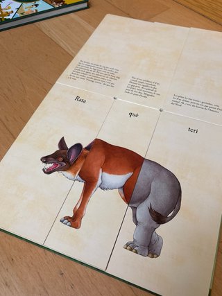 Libro infantil. El llibre boig