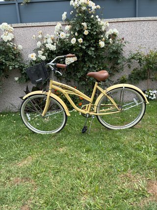 Bicicleta de paseo tipo clasica