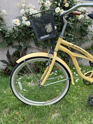 Bicicleta de paseo tipo clasica