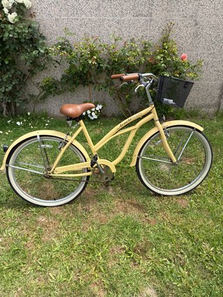 Bicicleta de paseo tipo clasica