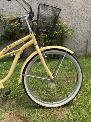 Bicicleta de paseo tipo clasica