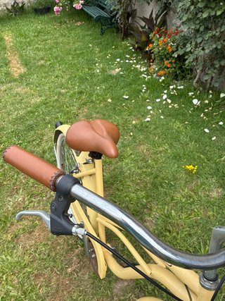 Bicicleta de paseo tipo clasica