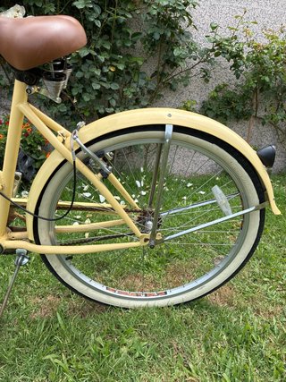 Bicicleta de paseo tipo clasica