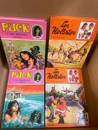 Libros lectura Puck, Los hollister