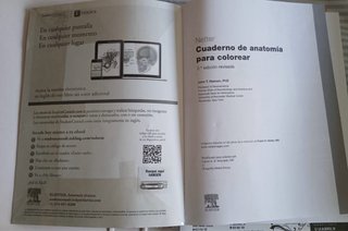 Netter cuaderno de anatomía para colorear