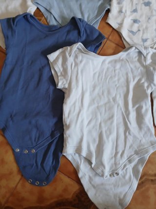Set 6 body