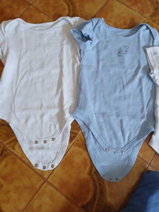 Set 6 body