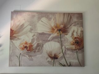 Cuadro Amapolas Crema y Naranja