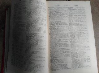 Diccionario Latino-Español y Español-Latino. 1933