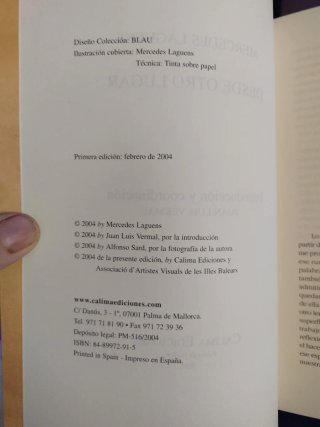 Libro Desde otro lugar, Mercedes Laguens. 2004.