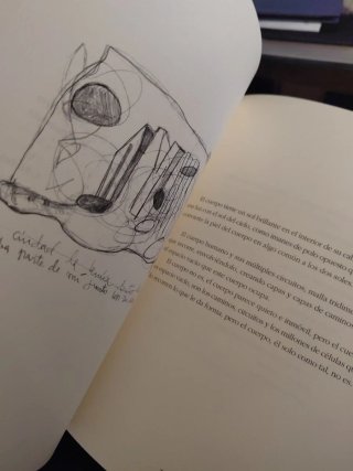 Libro Desde otro lugar, Mercedes Laguens. 2004.