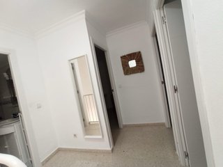 Se busca chica para compartir piso en Pinomontano