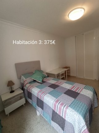 Se busca chica para compartir piso en Pinomontano