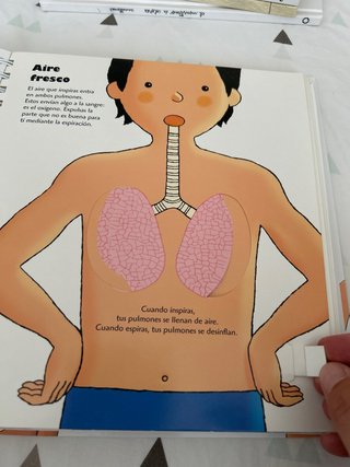 El cuerpo humano