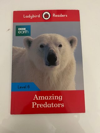 Libro aprender inglés / Ladybird Readers