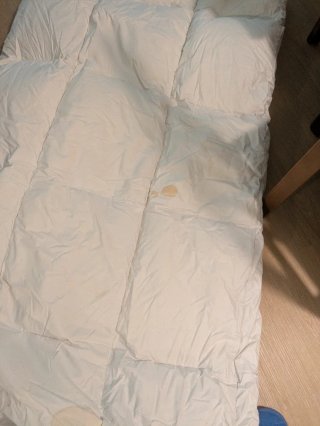 Edredón blanco de duvet de oca