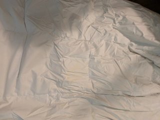 Edredón blanco de duvet de oca