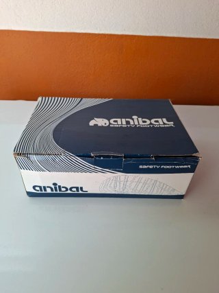 Calzado de seguridad