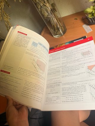 Matemáticas aplicadas a las Ciencias Sociales I...