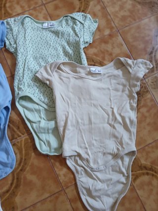 Set 6 body