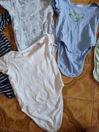 Set 6 body