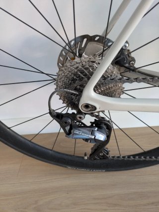 Canyon Endurace CF SL 8 Carbono + Ruedas