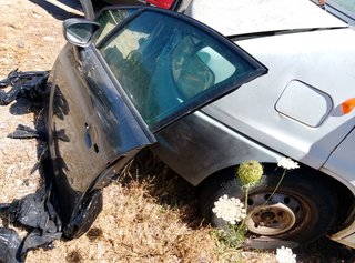 sportello anteriore destro OPEL Meriva
