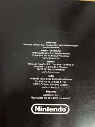 Manuale Nintendo DS Lite
