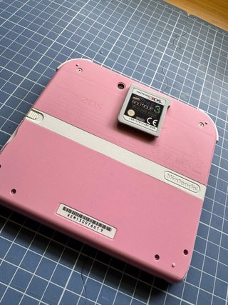 Nintendo 2DS Rosa