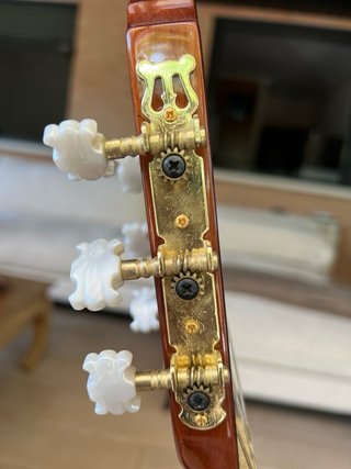 Guitarra Washburn C5CE Clásica Electroacústica