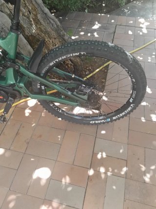 Bewatt Mountain Wolf Pro 2024