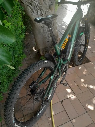 Bewatt Mountain Wolf Pro 2024