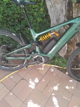 Bewatt Mountain Wolf Pro 2024