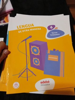 Lote de libros de 6 de primaria edebe
