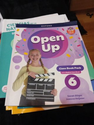 Lote de libros de 6 de primaria edebe
