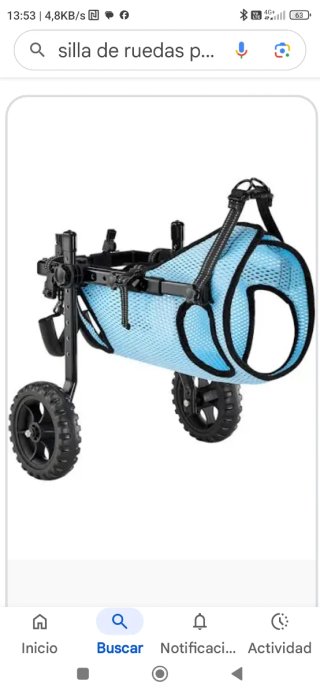 Sedia a rotelle per cani Mophorn taglia M 15k