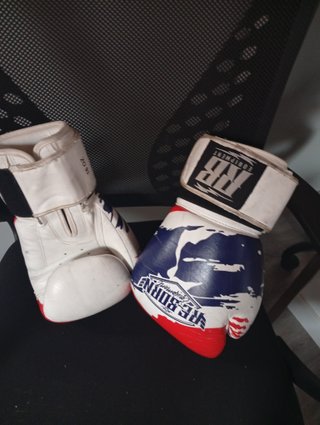 Guantes de Boxeo RE-BORN